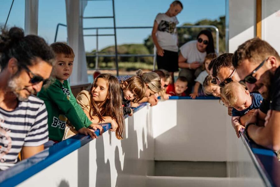 Fažana: Glass Boat Tour of Brijuni National Park - Key Moments You Should Watch For
