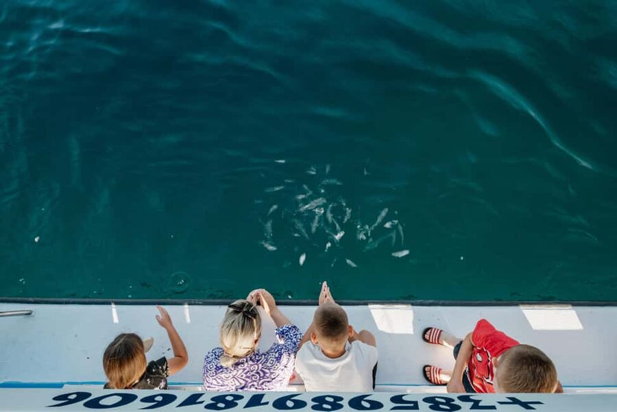 Fažana: Glass Boat Tour of Brijuni National Park - Getting to the Fažana Main Pier on Time