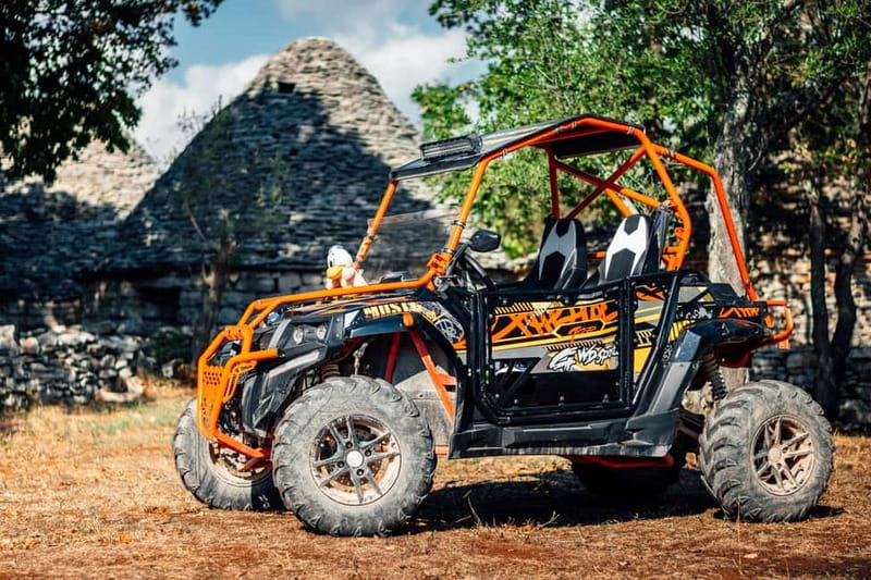 Fažana: Guided Buggy Tour in the Heart of Istria - Key highlights worth getting excited about