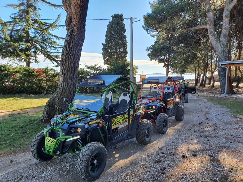 Fažana: Guided Buggy Tour in the Heart of Istria - Practical tips I’d follow before you go