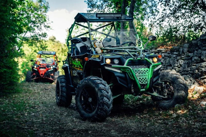 Fažana: Guided Buggy Tour in the Heart of Istria - Rocky paths and woods, where the ride becomes the attraction