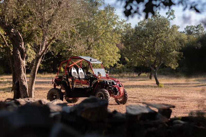 Fažana: Guided Buggy Tour in the Heart of Istria - What you get included: water, coffee, and the small comforts that matter
