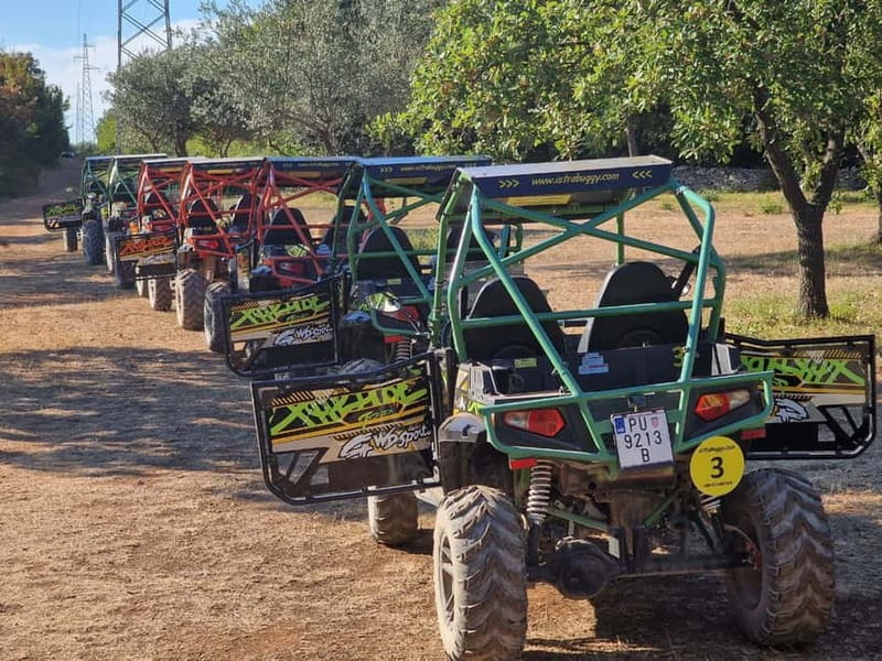 Fažana: Guided Buggy Tour in the Heart of Istria - Who should book this buggy tour from Fažana