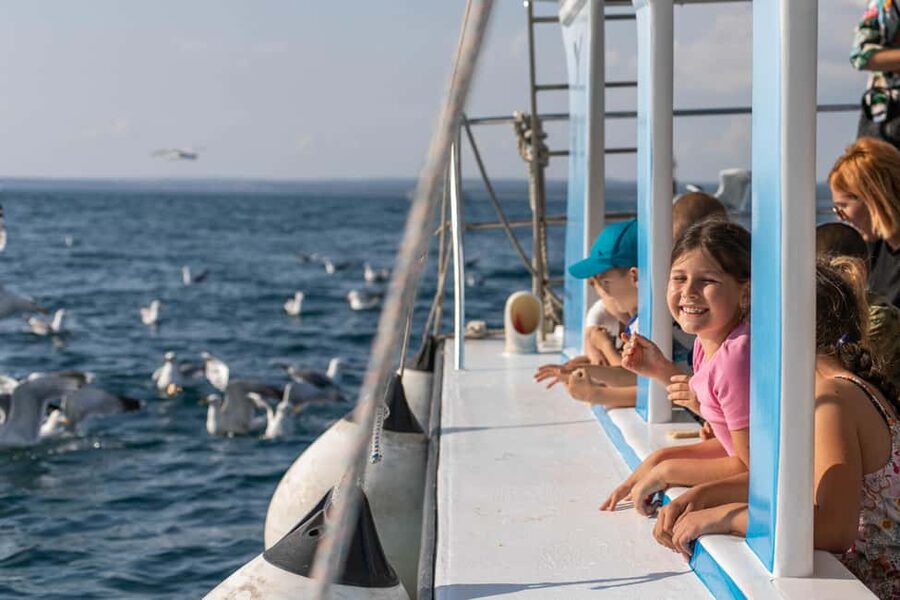 FAŽANA: PANORAMA NP BRIJUNI AND ISLAND SWIMMING STOP - Key highlights to look forward to