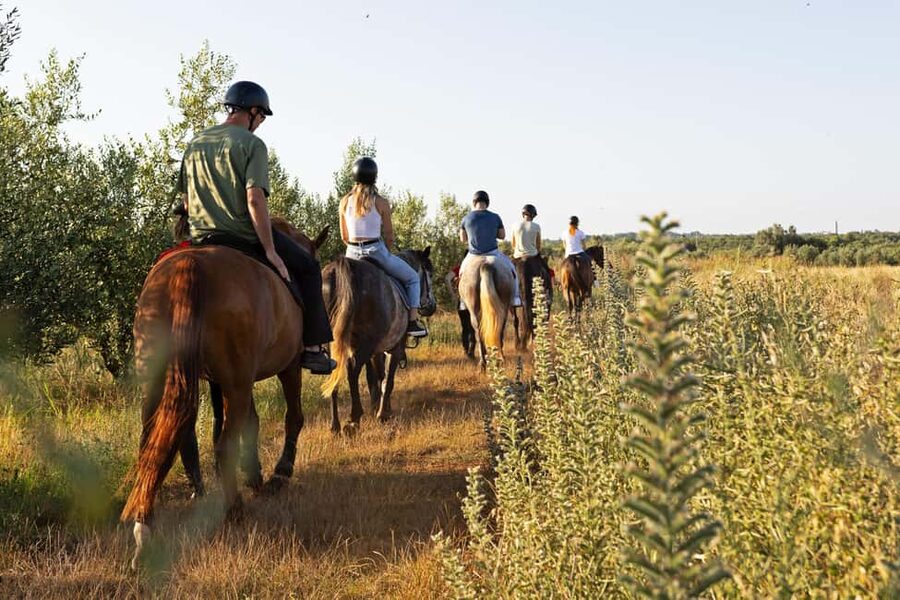 Fazana: Sunset 1-hour Horse Riding in Nature with Guide - Price and value: what $58 gets you in a guided horse experience