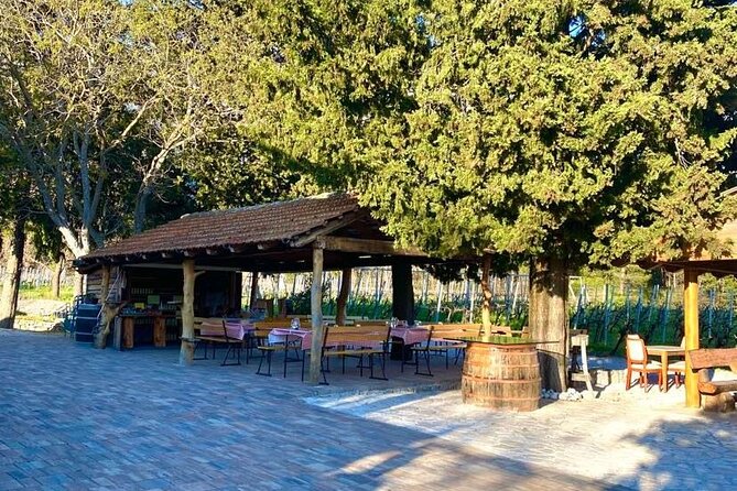 Flavours of Konavle: Wine, Food & Village Life Experience - What to Wear, Bring, and Expect at Each Stop