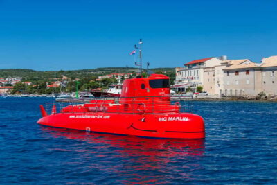 For Families: 45-minute Semi-submarine tours with a mermaid