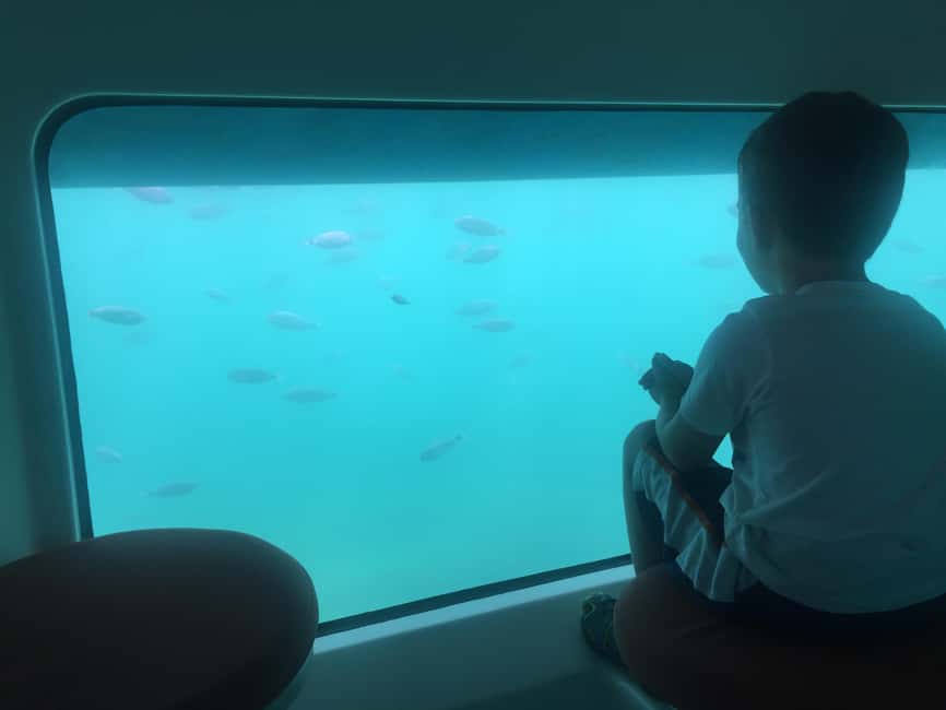 For Families: 45-minute Semi-submarine tours with a mermaid - Price and Value at $21 Per Person, Is It Worth It?