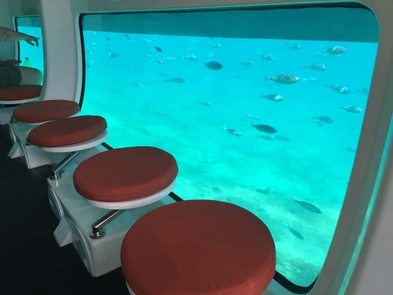 For Families: 45-minute Semi-submarine tours with a mermaid - What to Bring (and What to Skip) for a Comfortable Family Ride