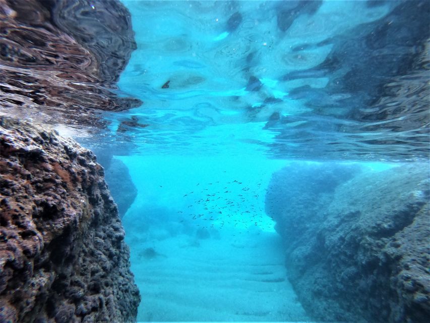 From Dubrovnik: 4-hour Elafiti Islands Private Boat Tour - Kolocep Blue Cave Stop: Snorkel Time and Cliff-Friendly Swimming
