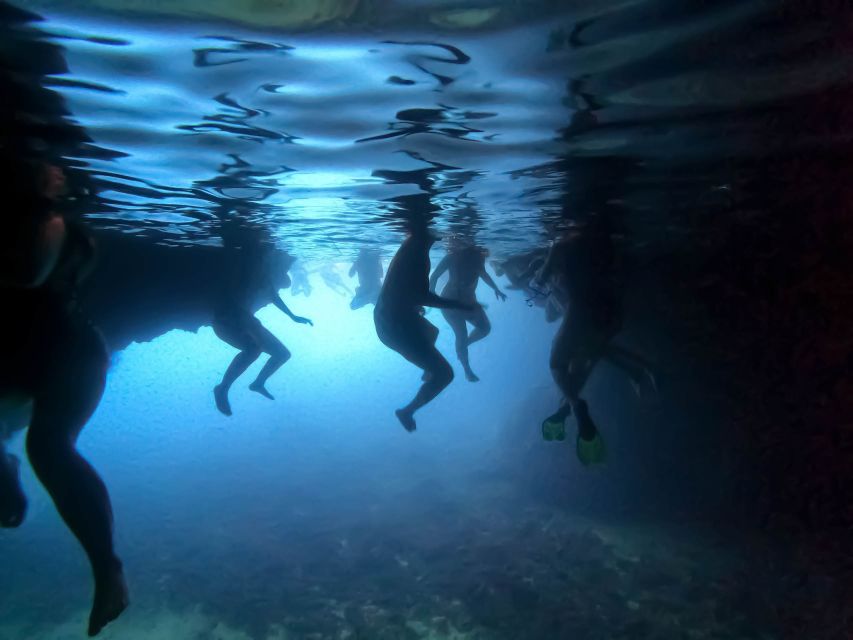 From Dubrovnik/Cavtat: Blue Cave, Sunj Beach Speed Boat Tour - Key things I’d plan around