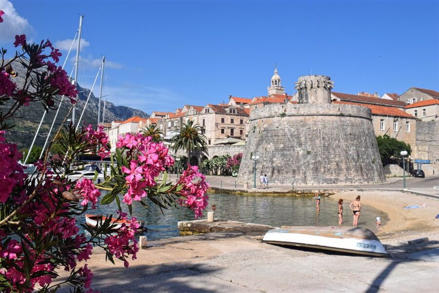 From Dubrovnik: Guided Tour of Pelješac & Korčula - Pelješac Wine Tasting: Great Idea, Mixed Execution Potential