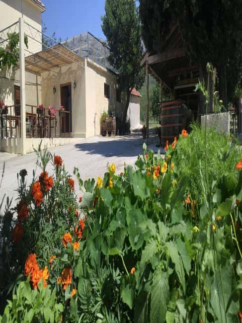 From Dubrovnik: Half-Day Wine Tasting and Cavtat City Tour - From Dubrovnik to Konavle Valley: the simple way to do wine country