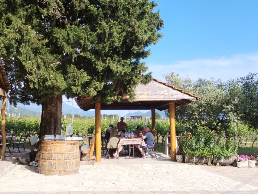 From Dubrovnik: Half-Day Wine Tasting and Cavtat City Tour - How the pairing experience works, and what to pay attention to