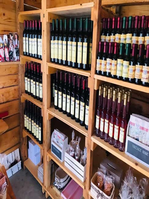 From Dubrovnik: Half-Day Wine Tasting and Cavtat City Tour - Inside the winery in Konavle Valley, where the family does the talking