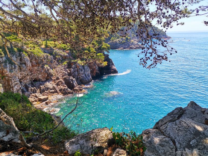 From Dubrovnik: Hiking & Swimming on Koločep Island Day Trip - Price and value: why 104 dollars can make sense