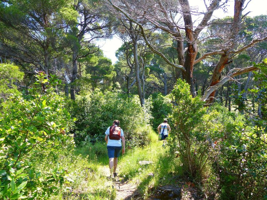 From Dubrovnik: Hiking & Swimming on Koločep Island Day Trip - Packing checklist that actually matters on Koločep