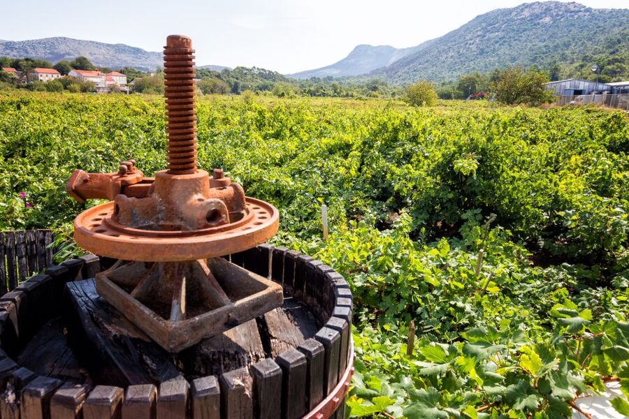 From Dubrovnik: Island of Korčula with wine tasting - Orebić to Korčula by ferry, a scenic break that matters