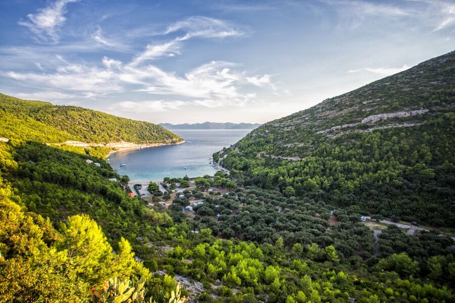 From Dubrovnik: Island of Korčula with wine tasting - Bartulović family winery tasting, a Pelješac introduction you can remember