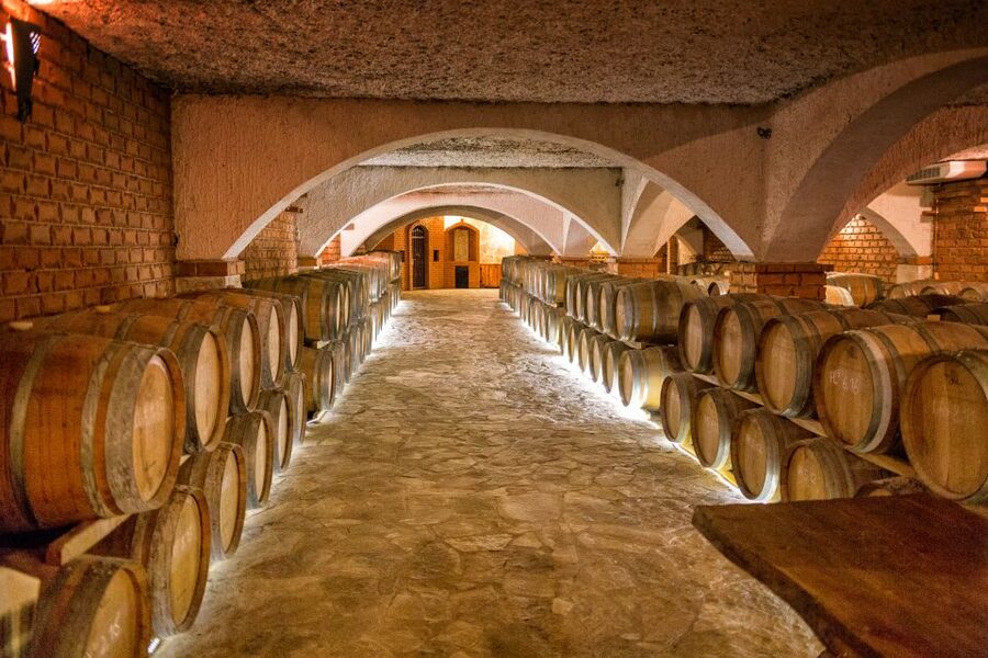 From Dubrovnik: Island of Korčula with wine tasting - Make it work: timing, walking, and what to watch for
