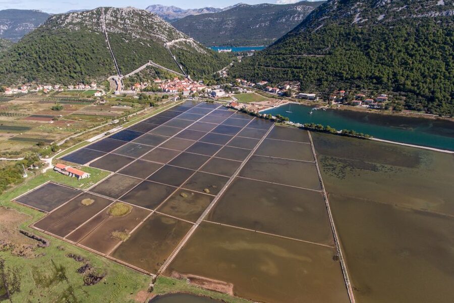 From Dubrovnik: Island of Korčula with wine tasting - Pelješac peninsula driving, where vineyards explain the wine tasting