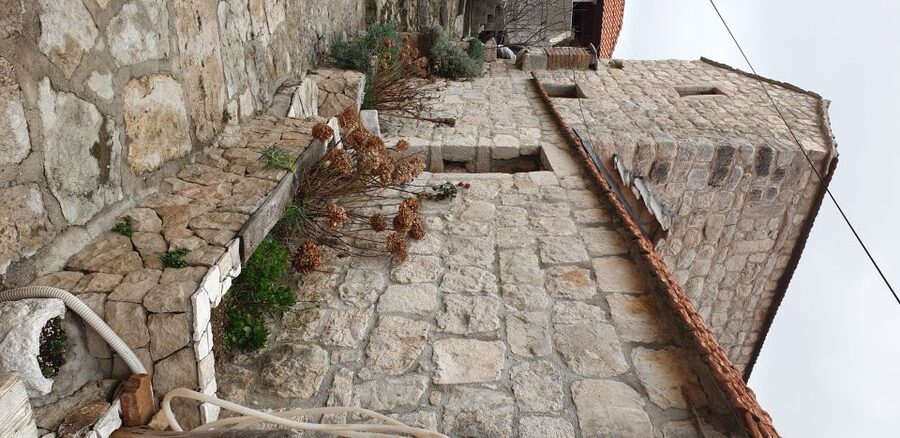 From Dubrovnik: Majkovi Village and Ston Private Food Tour - Oysters and Coffee Stops: How Flex Time Works Here
