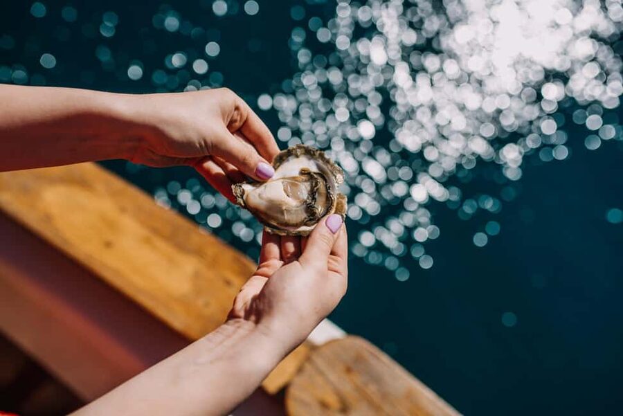 From Dubrovnik: Mali Ston Oysters Farm & Boat Experience - Key things that make this oyster boat day work