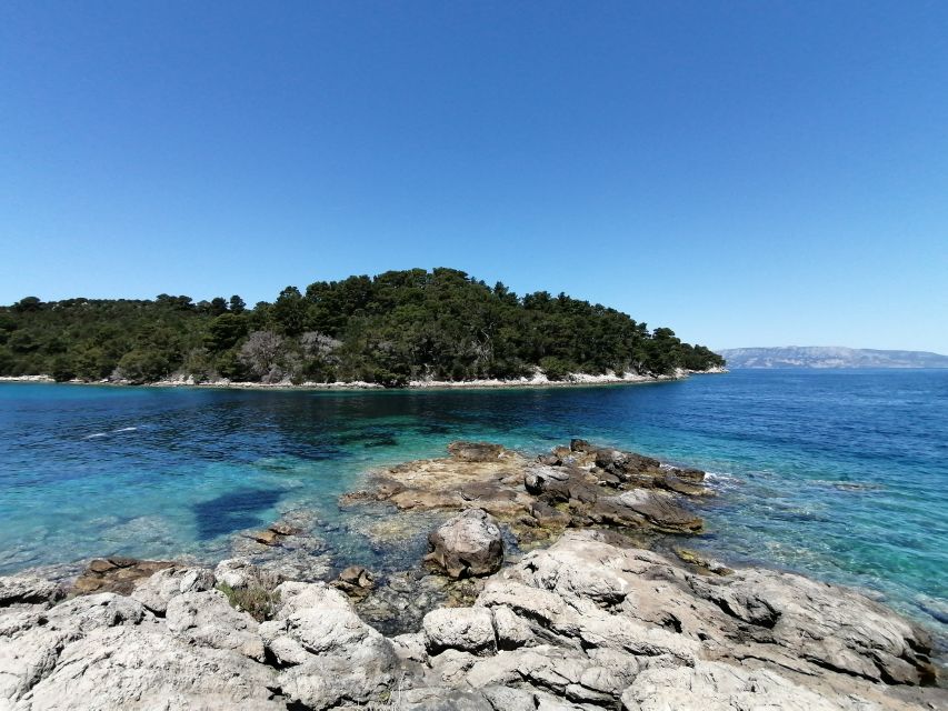 From Dubrovnik: Mljet National Park & Elaphiti Islands Trip - Moon Beach on Mljet and the pace reset you will appreciate