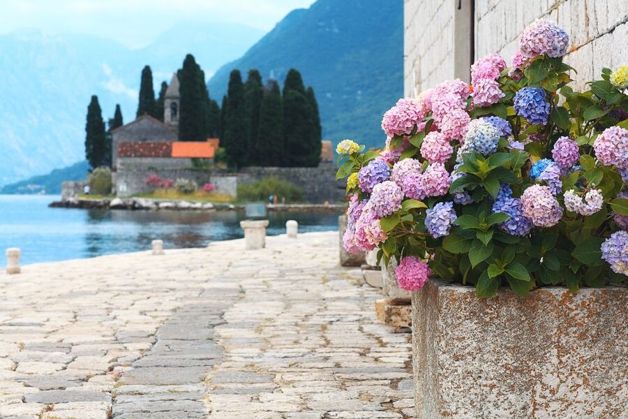 From Dubrovnik: Montenegro Highlights Day Tour - Guides shape the day: friendly explanations, adaptive pacing, and real place knowledge