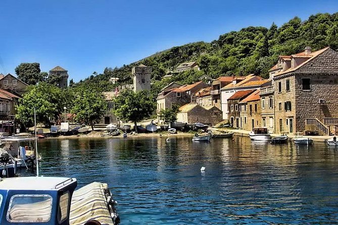 From Dubrovnik: Premium Three Island Cruise with lunch and drinks - Lunch on board: fish, chicken, or vegetables, plus wine