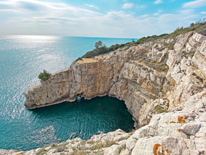 From Fazana: Cape Kamenjak & Pula Islands - Safari Bar at Kamenjak: An Easy Lunch Strategy