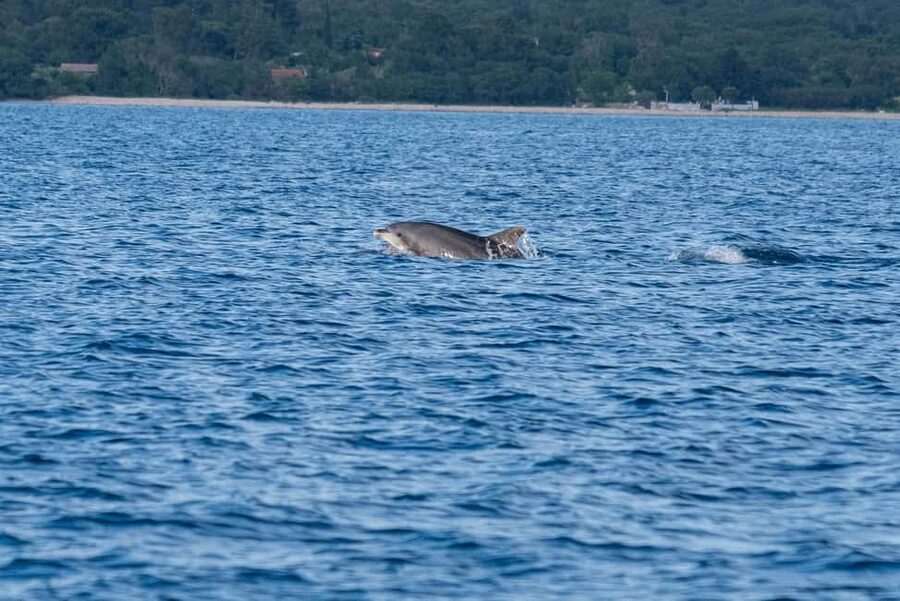 From Fazana: Dolphin watching and snorkeling in Blue Cave - Boat comfort and the practical gear that’s actually included
