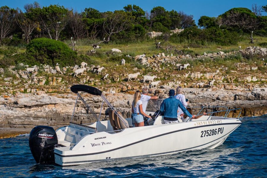 From Fažana: Private boat tour of Brijuni Islands - Fažana Departure, Then a 14-Island Panorama That Sets the Mood