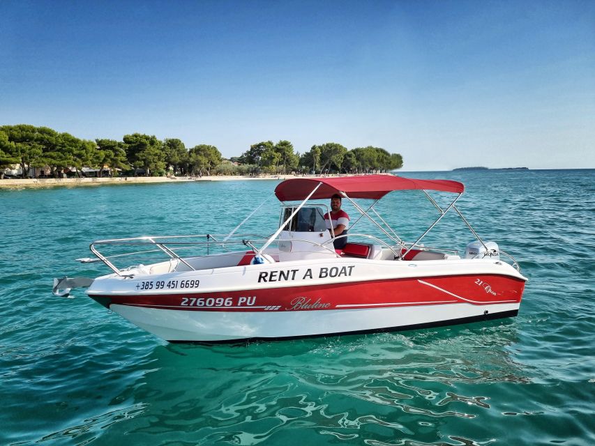 From Fazana: Private sunset dolphin tour - The sunset colors you came for, plus the calm pace