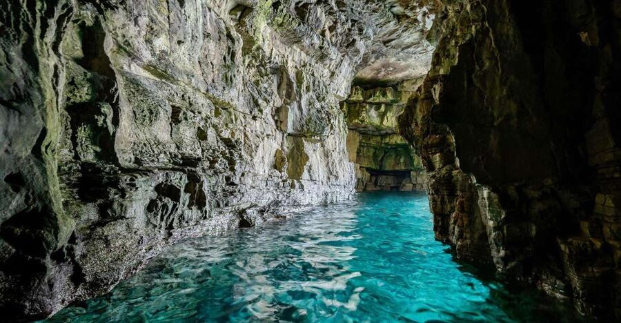 From Fazana: Sea caves, hidden island, cliffs and more... - Brijuni National Park and Sveti Jerolim’s fish-rich water