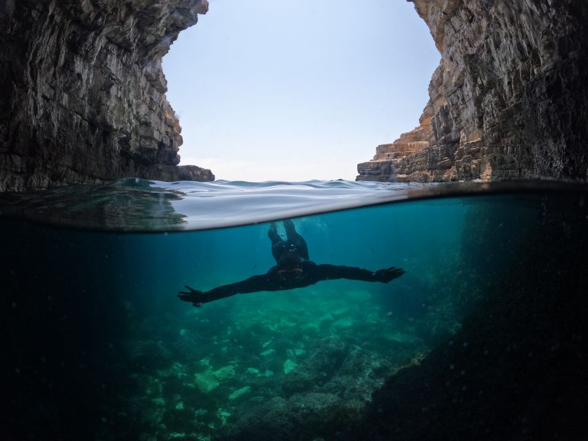 From Fažana: snorkeling at sea cave and Brijuni Island - Key highlights you will actually care about