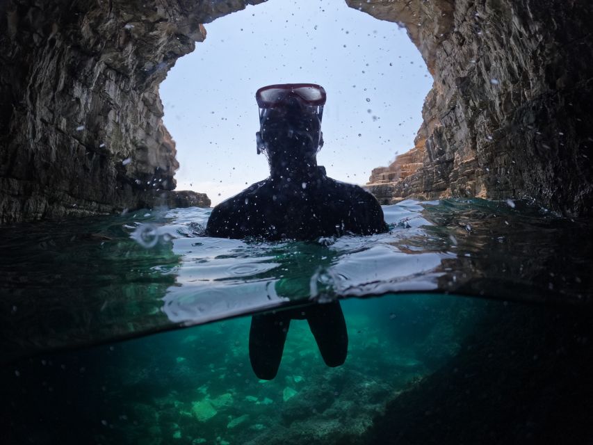 From Fažana: snorkeling at sea cave and Brijuni Island - Boat comfort, guide style, and timing that fits real days