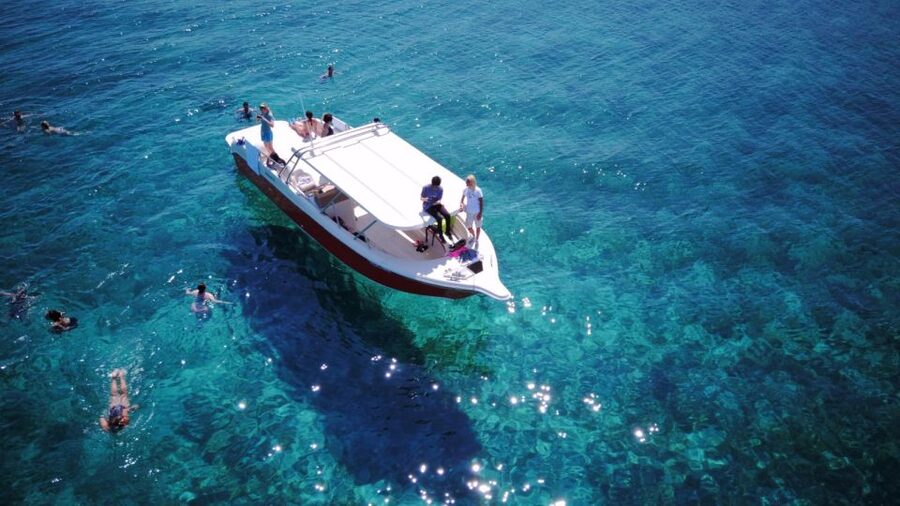 From Hvar: Vis Island and Blue Cave Speedboat Tour - Key things I’d flag before you go
