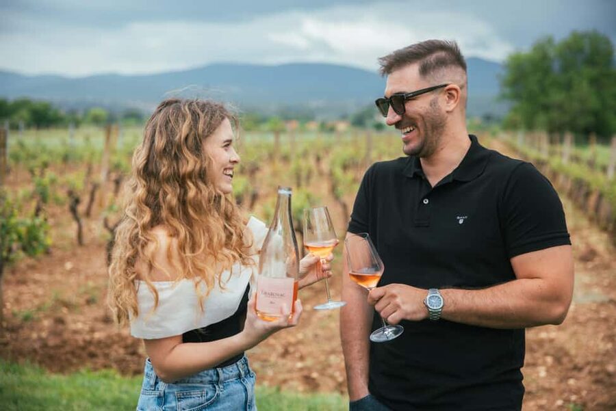 From Makarska Riviera : Wine Tasting Grabovac Tour - The drive from Makarska: pickup timing and what to expect on the van
