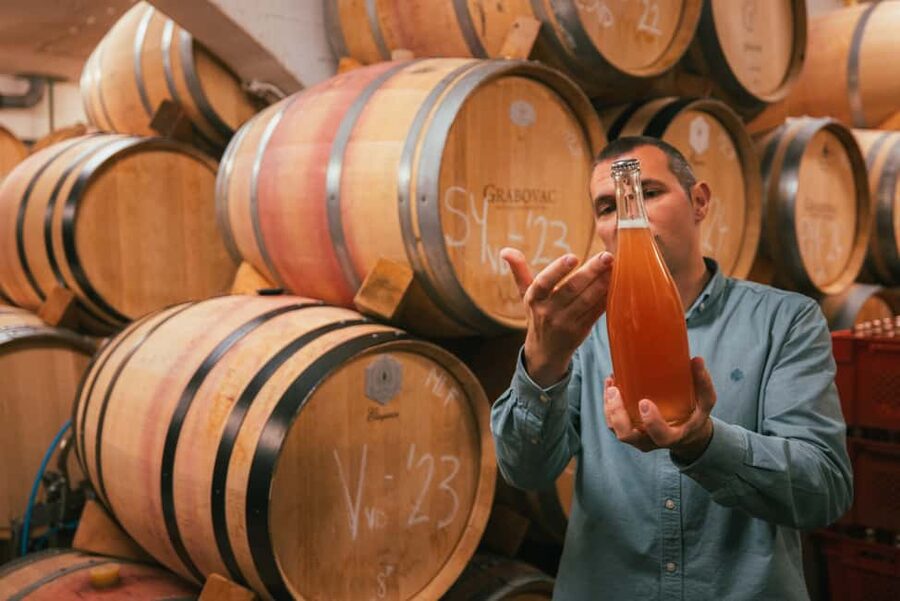 From Makarska Riviera : Wine Tasting Grabovac Tour - Vinarija Grabovac: what the winery visit is really like
