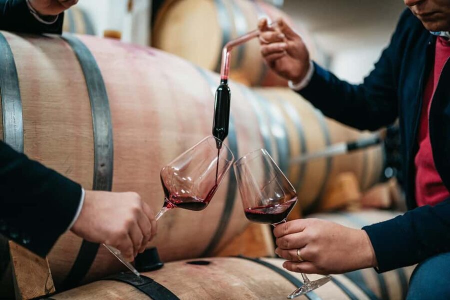 From Makarska Riviera : Wine Tasting Grabovac Tour - The tasting itself: 5 still wines plus Dalmatian food pairing