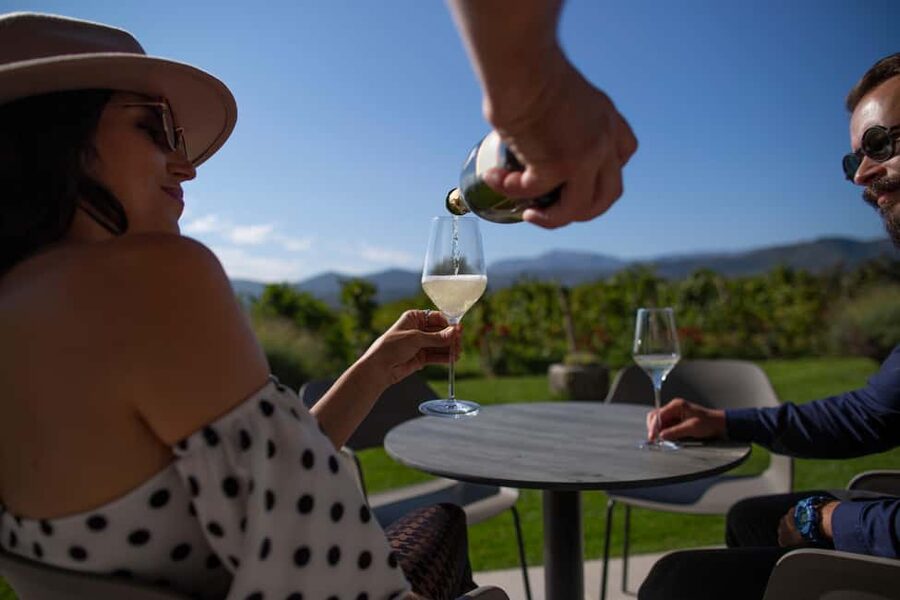 From Makarska Riviera : Wine Tasting Grabovac Tour - Value check: is $79 worth it for a half-day wine outing?