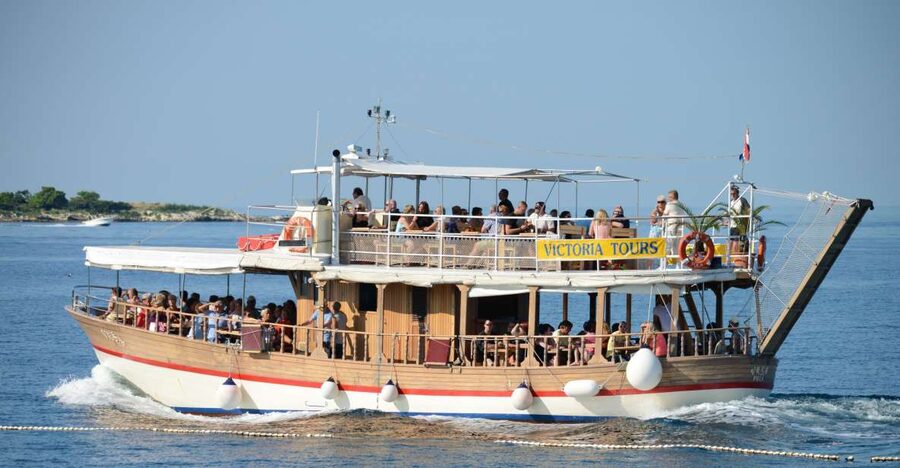 From Poreč: Evening Dolphin Cruise with Welcome Drink - Price and Value: Is $35 Reasonable for This Kind of Evening?