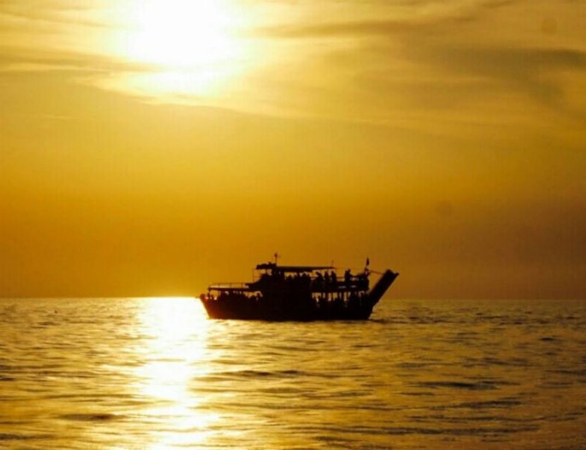 From Poreč: Evening Dolphin Cruise with Welcome Drink - Sailing Views of Poreč and Rovinj From the Water