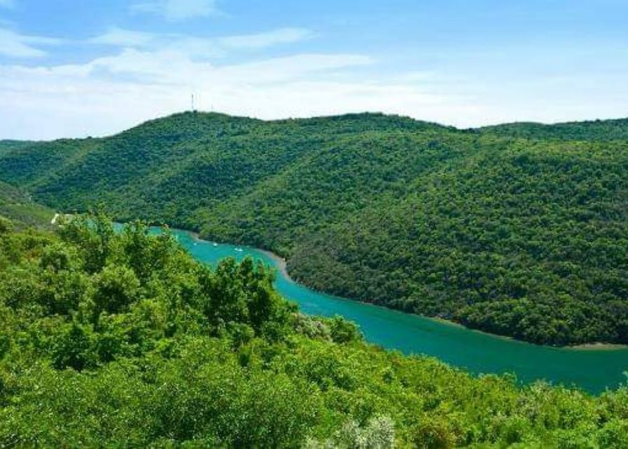 From Poreč: Lim Fjord, Rovinj, and Vrsar Boat Trip - Who should book this boat trip (and who should skip it)