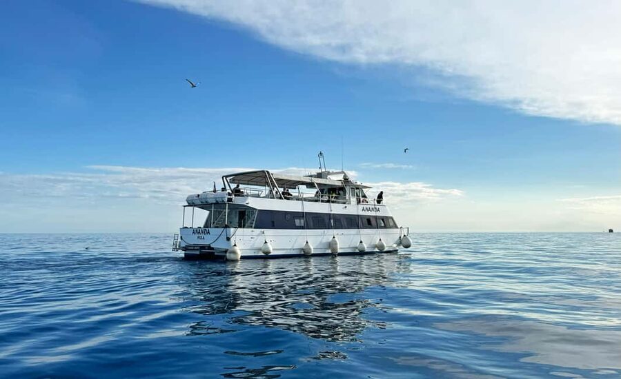 From Pula: Half-day NP Brijuni cruise with Lunch & Swimming - Key points before you go
