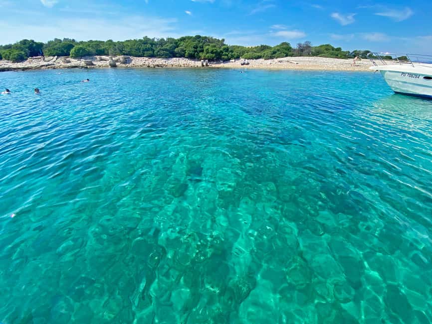 From Pula: Half-day NP Brijuni cruise with Lunch & Swimming - From Pula to Brijuni: what this catamaran day is really like