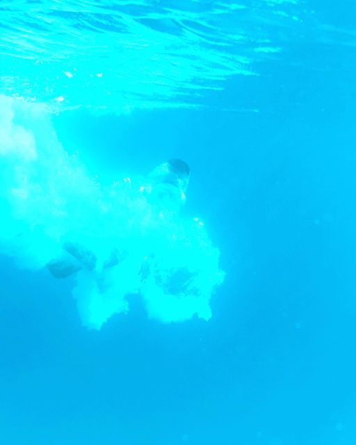 From Split: Blue Lagoon & 2 Islands half-day Private - Pick-Up Points and Timing: The Day Runs on the Map, Not on Flex Promises