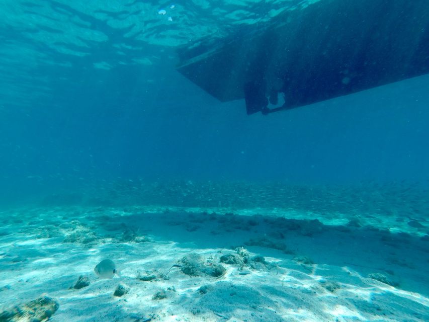 From Split: Blue Lagoon & Trogir Boat Trip with Snorkeling - What kind of traveler should book this?