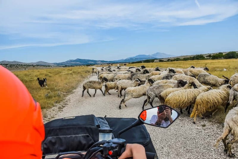 From Split: Full-Day Horse Riding & Quad Biking with Lunch - Key things I’d clock before you go